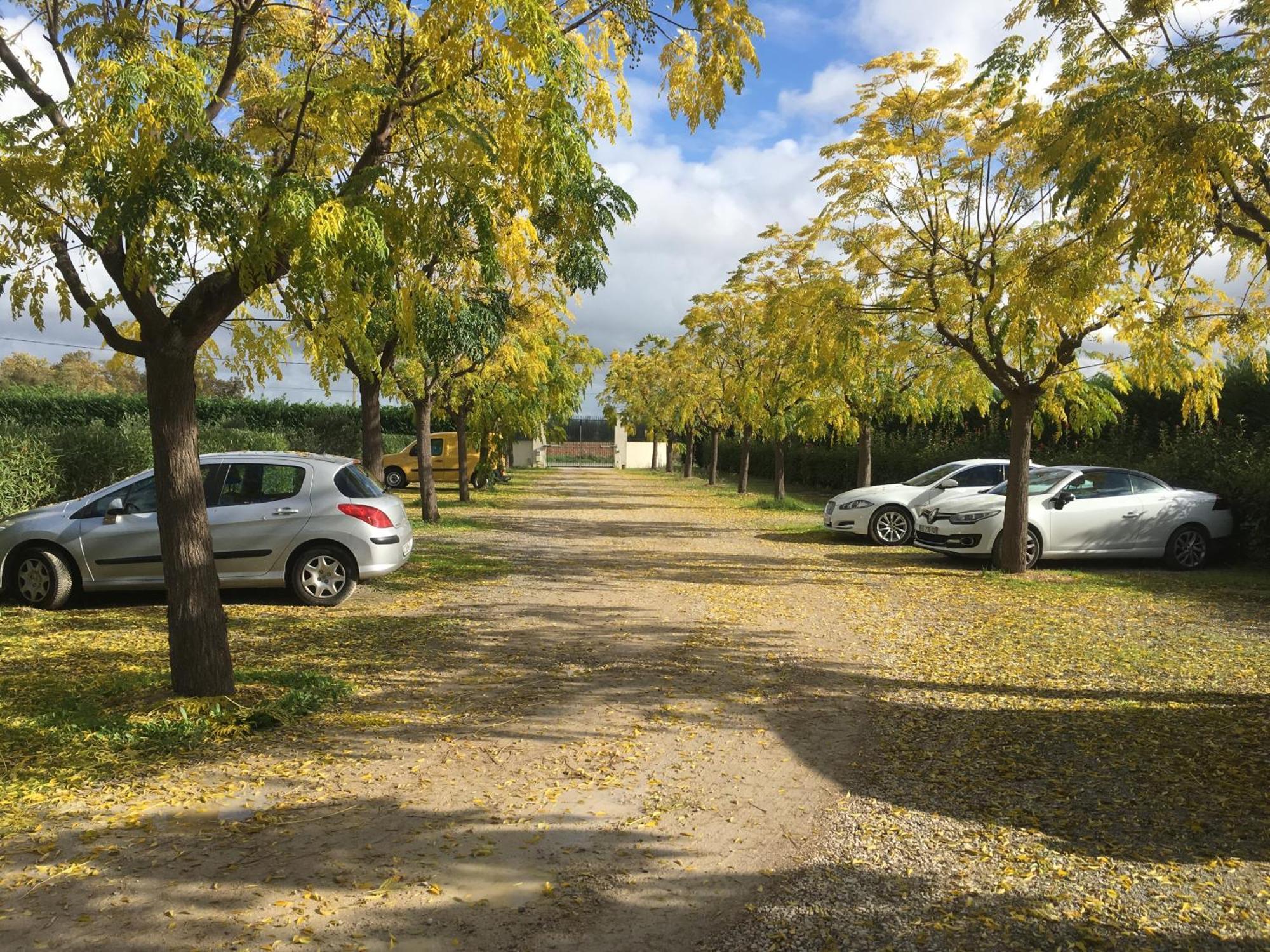 Chambres D'Hotes Avec Jacuzzi Et Piscine Au Mas De Cadoule Saint-Just  Exterior foto